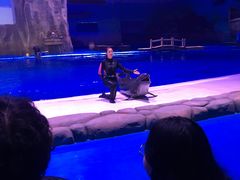 -华夏文旅海洋公园