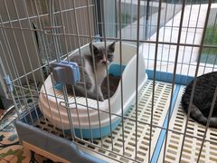 -猫的天空之城概念书店(北戴河蔚蓝海岸店)