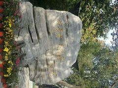 android_upload_pic-北京市西城区少年宫