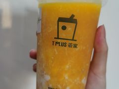 -TPLUS茶家(浦电路店)