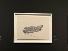 -江苏省美术馆(长江路新馆)