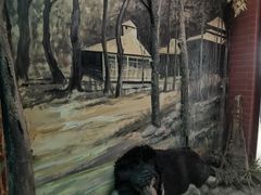 -北京动物园-畅观楼