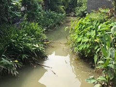 -小洲村