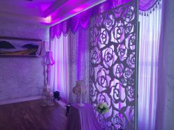 -M'S BANQUET AND SPACE ART