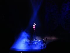 -水秀国际大剧院