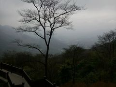 -广州市石门国家森林公园