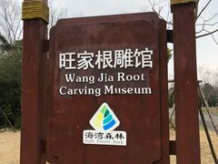 景点-上海海湾国家森林公园