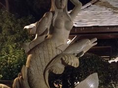 -天目湖涵田半山温泉