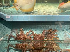 -荣小馆(杭州大厦店)