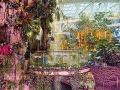 -正佳雨林生态植物园