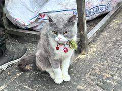 -南坛综合农贸市场