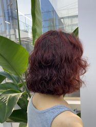 点击看大图 -赤道 Hair Salon