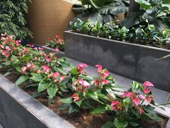 -北国之春国宴(乌兰察布店)