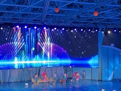 -海合安青岛极地海洋公园
