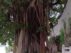 -乌山风景区