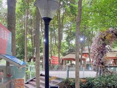 -二荆条·蜀鲜汇城市森林火锅