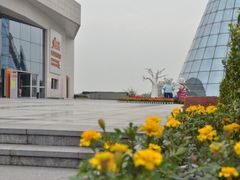 -成都泰迪熊博物馆
