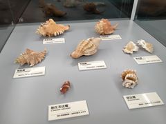 -天津古林古海岸遗迹博物馆