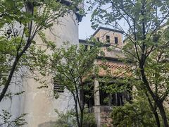 -广东花都湖国家湿地公园