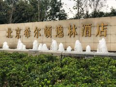 -北京希尔顿逸林酒店