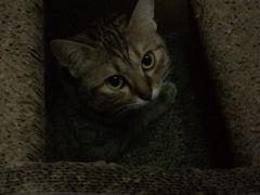-H立方实景剧情密室(天河旗舰店)