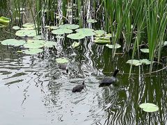 -前关湿地公园