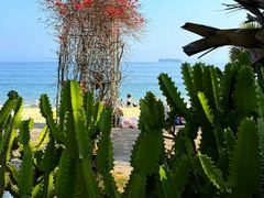 -大梅沙海滨公园