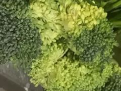 西兰花-蜀留香火锅·始于1999·原四川老火锅(白堤路店)