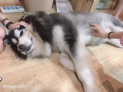 -白兔子密室(长寿路店)