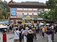 -西双版纳原始森林公园