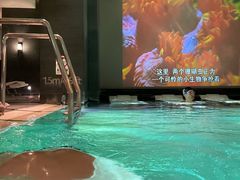 -丽思卡尔顿酒店泳池(金融街店)