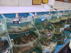 -叶存利海鲜大馅饺子(海宁路总店)