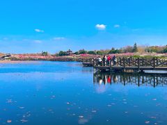 -上海海湾国家森林公园