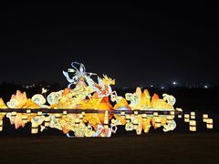 -武汉园博园(武汉自然博物馆)