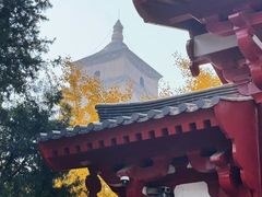 -大慈恩寺(大雁塔)