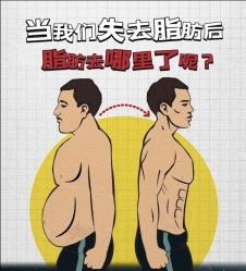 -Fundi张玉珊修身堂·indiba·BTL科技瘦身