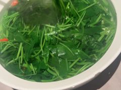-醉庐·新上海菜(南京西路店)