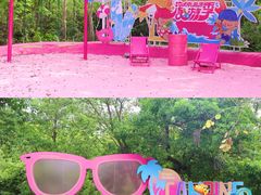 -南海湾森林生态园