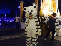 -清迈夜间动物园