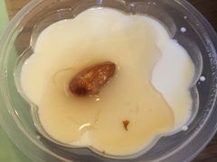 杏仁豆腐-锅儿挑面馆