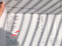 -邢大夫动物医院