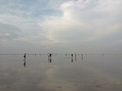 -南汇嘴观海公园