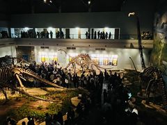 -自贡恐龙博物馆