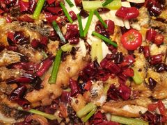 -老板恋上鱼(印象城店)