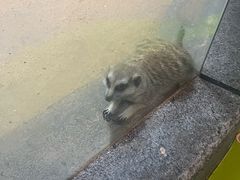 -秦皇岛新澳海底世界