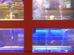 -东富酒家(龙湖西溪天街店)