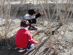 -大兴滨河森林公园