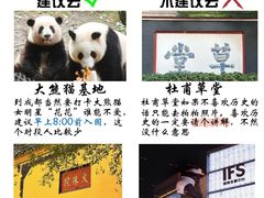 -成都大熊猫繁育研究基地