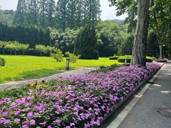 -棒棰岛宾馆景区