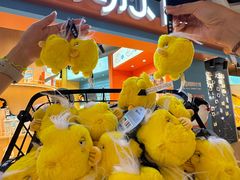 -大连圣亚海洋世界
